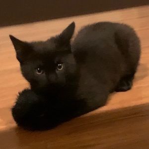 Meet your Posher, Megan